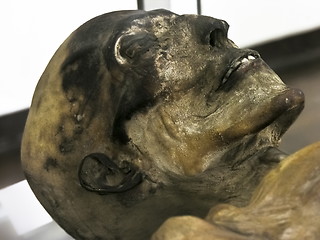Image showing Mummy face