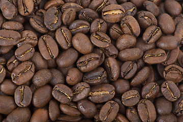 Image showing Coffee beans background