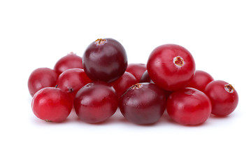 Image showing Close-up shot of some cranberries