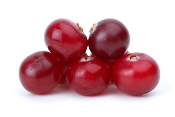 Image showing Close-up shot of some cranberries