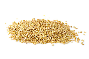 Image showing Some barley grains
