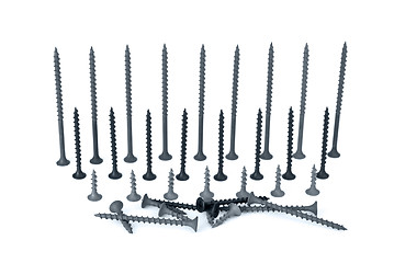 Image showing Some different screws