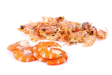 Image showing Some shelled shrimps and shells