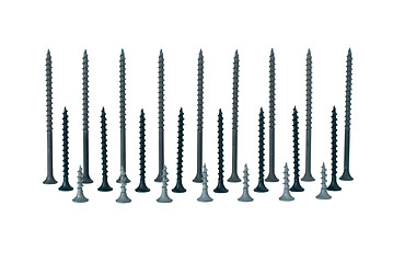 Image showing Some standing different screws