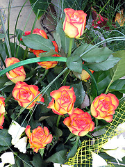 Image showing Rose bouquet