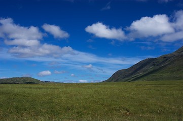 Image showing Mountain grass