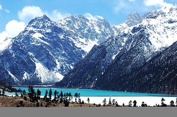 Image showing Landscape in winter