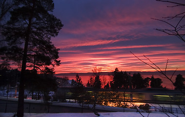 Image showing Purple Sunset