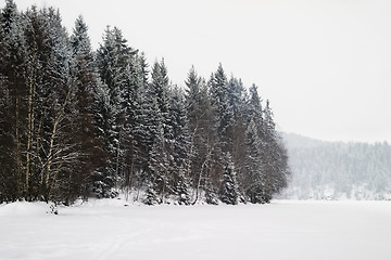 Image showing Frozen Lake with Trees