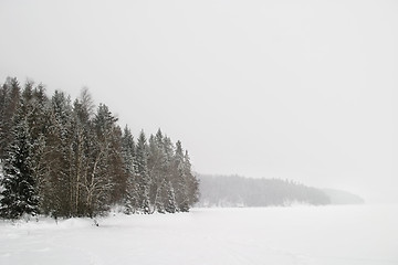 Image showing Frozen Lake with Trees