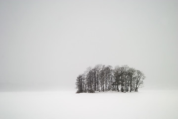 Image showing Frozen Lake with Trees