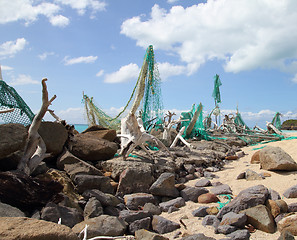 Image showing hurricane coast