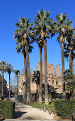Image showing Park in Rome
