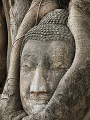 Image showing Buddha head