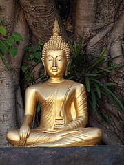 Image showing Golden Buddha statue