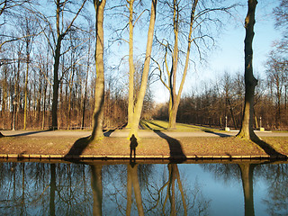 Image showing Winter forest landscape