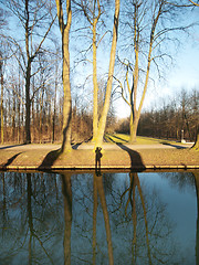 Image showing Winter forest landscape