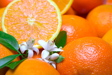 Image showing oranges with leafs and blossom in a white background 