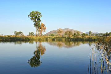 Image showing lake with clear water and trees