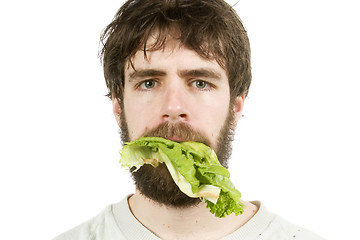 Image showing Unimpressed with Salad