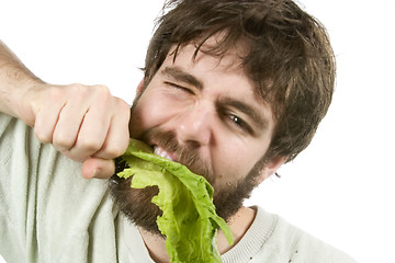 Image showing Eager Salad Eater