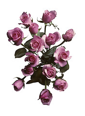 Image showing Overhead view of a bouquet of pink roses