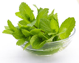Image showing Mint sprigs in bowl