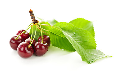 Image showing Fresh cherries