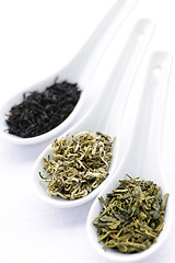 Image showing Assortment of dry tea leaves in spoons