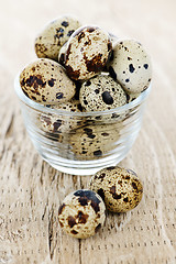 Image showing Quail eggs