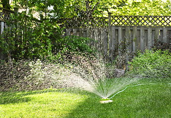 Image showing Lawn sprinkler watering grass