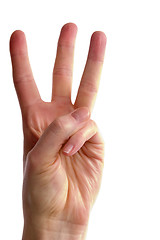 Image showing Three Fingers