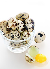 Image showing Quail eggs