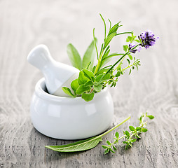 Image showing Healing herbs in mortar and pestle