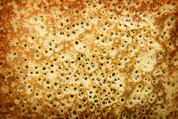 Image showing texture of baked pancake