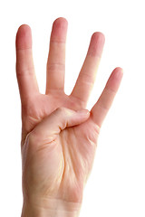 Image showing Four Fingers