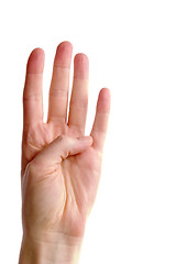 Image showing Four Fingers