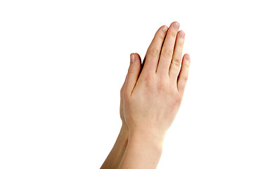 Image showing Praying Hands