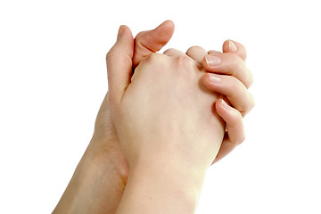 Image showing Praying Hands