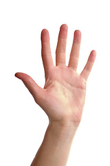 Image showing Five Fingers