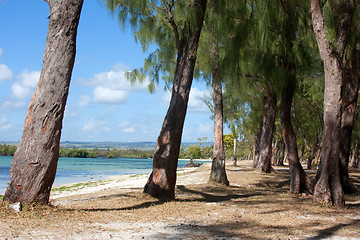 Image showing West Coast Mauritius