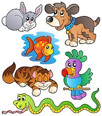 Image showing Happy pets collection 1