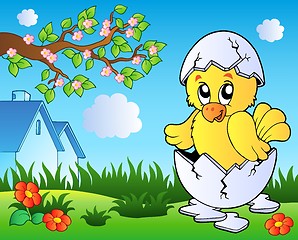 Image showing Meadow with cute chicken in egg