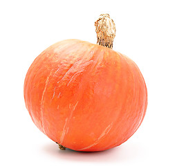 Image showing pumpkin isolated on white