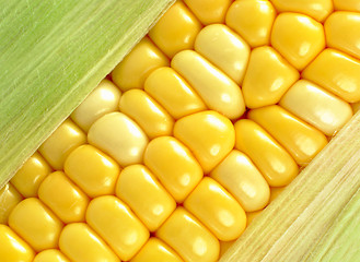 Image showing corn close up