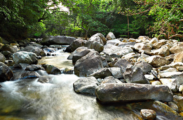 Image showing water spring in forest