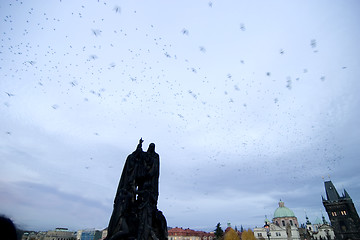 Image showing Statue and Birds