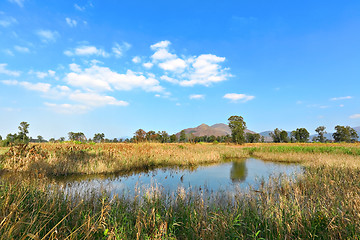 Image showing Wetland landscape