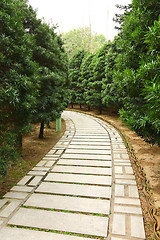 Image showing path in garden