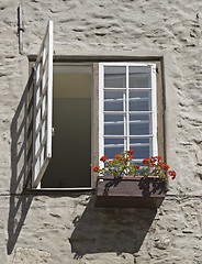 Image showing Window with flowers